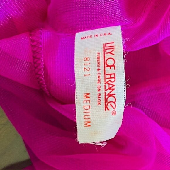 Lily of France Rosa Puleo-Szule 70's Sheer Chiffon Lingerie Slip Dress Medium - Picture 7 of 14